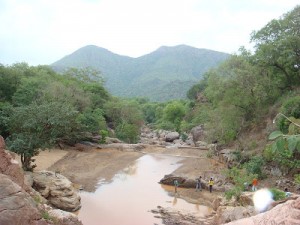 800px-amirthi_forest_and_zoological_park_vellore