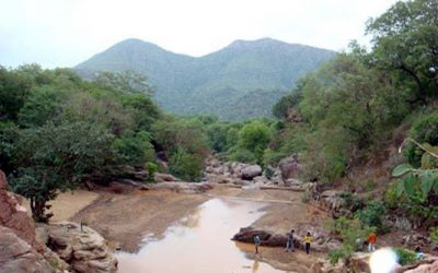 Jawadhi Hills Campaign – Background Information