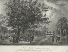 English Quaker Founder George Fox Visits Long Island in 1672: Elizabeth3 A. Stewart’s Relatives Were among the Populace Prepared for Fox’s Ideas